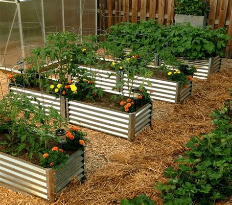 vegega garden bed|corrugated metal raised garden beds.